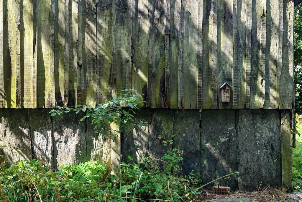 Longere Tinyhouse Avec Son Jardin-Foret Saint-Just  Extérieur photo